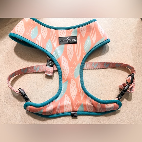 🌸 Lucy & Co reversible dog harness 🌸 - Picture 2 of 4